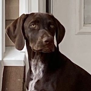 Meet your Posher, Donna